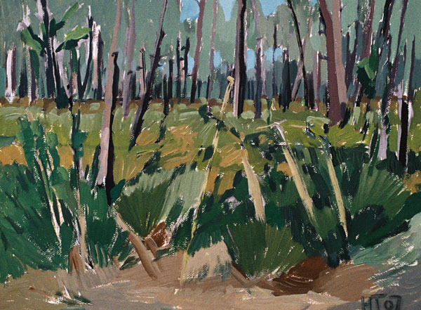 Pinienwald am Atlantik