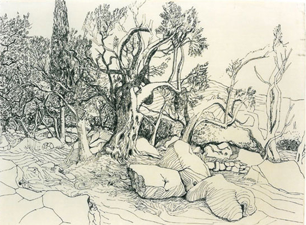 Landschaft bei Cavlat