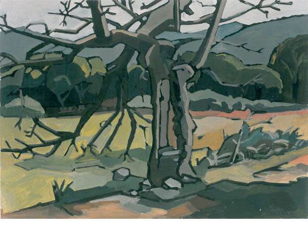 Baum beim Kloster Lluc